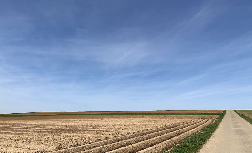 Start Gemeinde Gemmrigheim